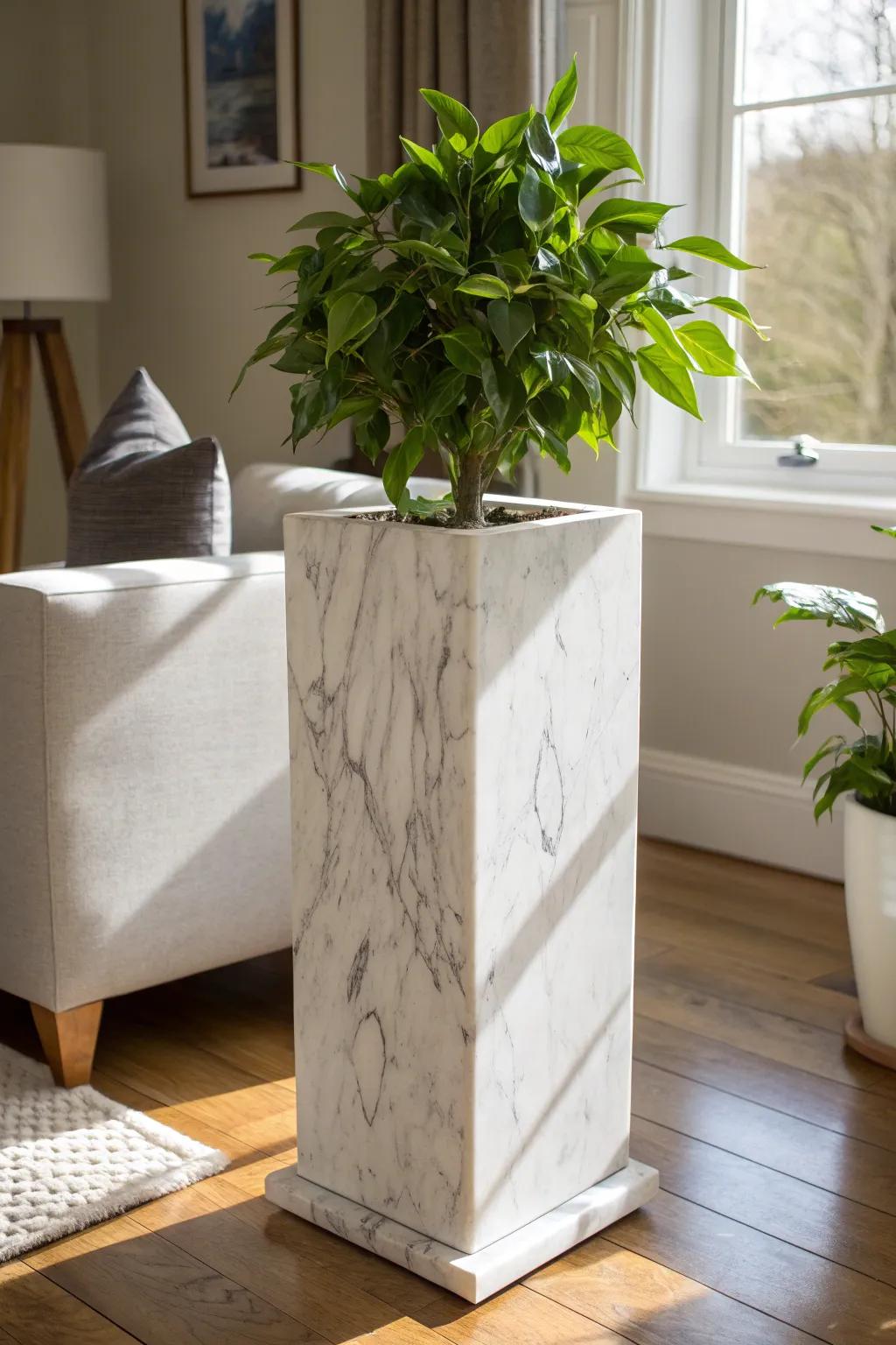 Transform your living space with the timeless elegance of a marble plant stand.