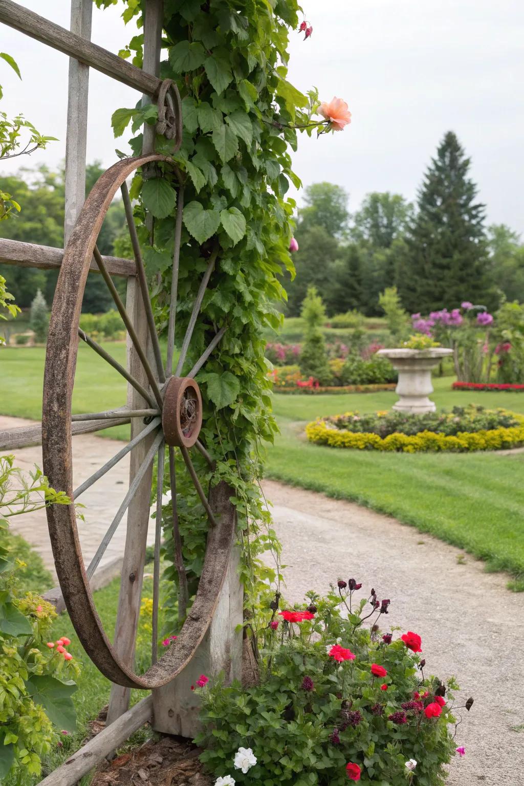 Create a unique garden trellis with a wagon wheel.