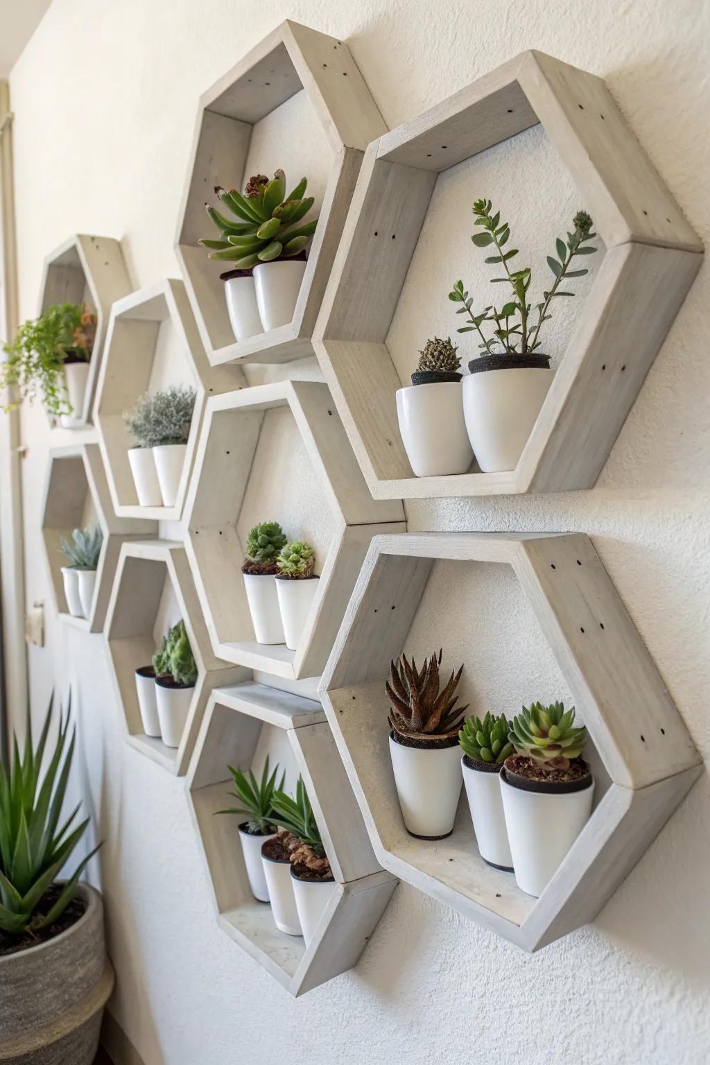 Modern hexagon shelves with succulents add a geometric flair.