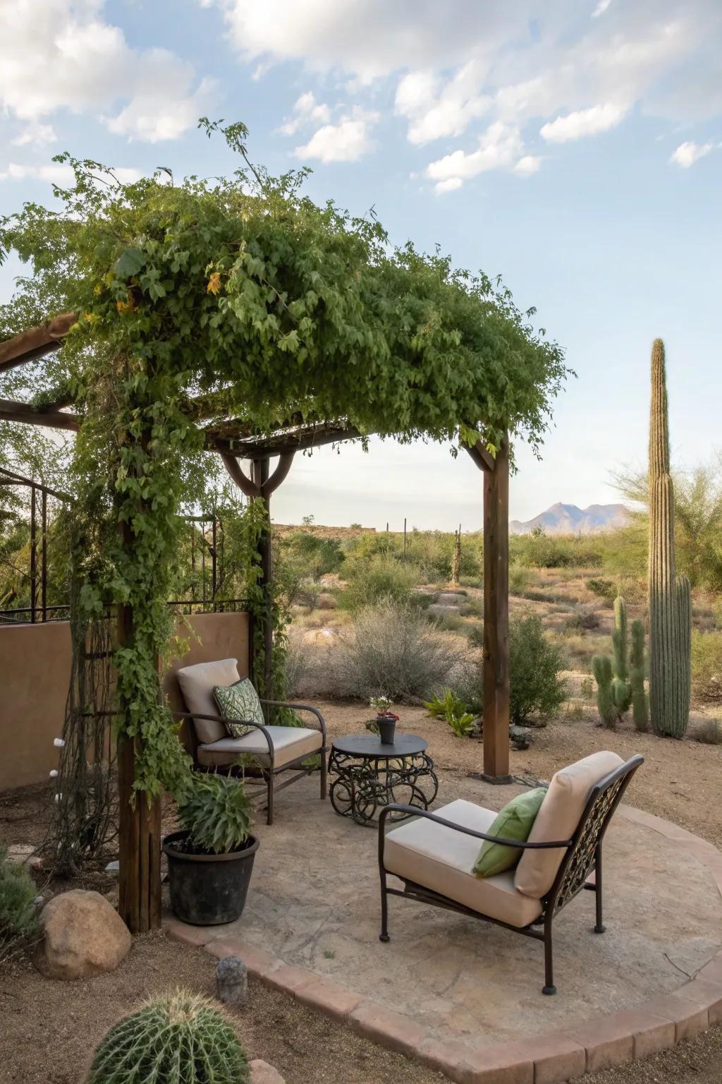 A private nook offers a personal retreat for relaxation in a desert backyard.