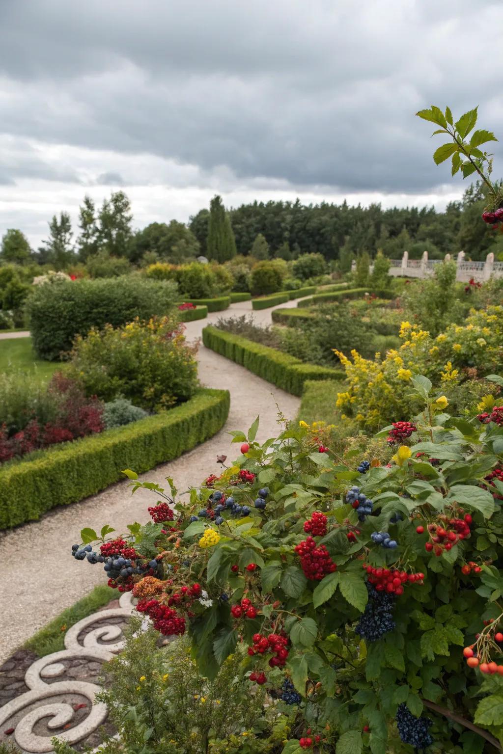 Berry plants seamlessly integrated into edible landscaping.