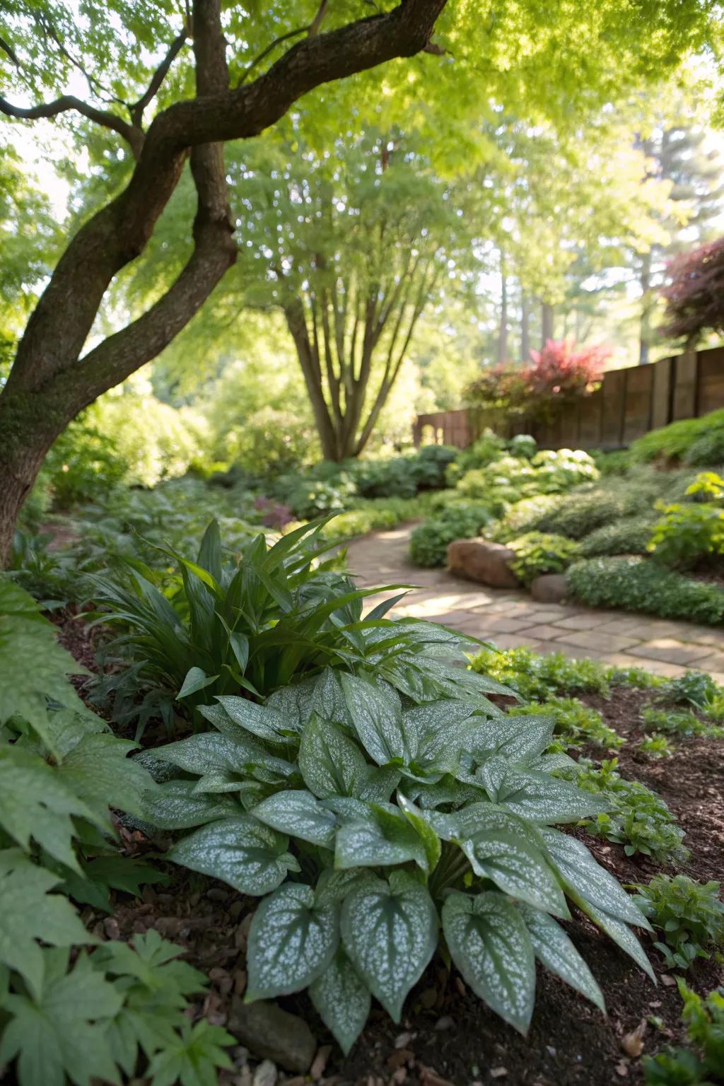 Pulmonaria adds speckled leaves and charm.