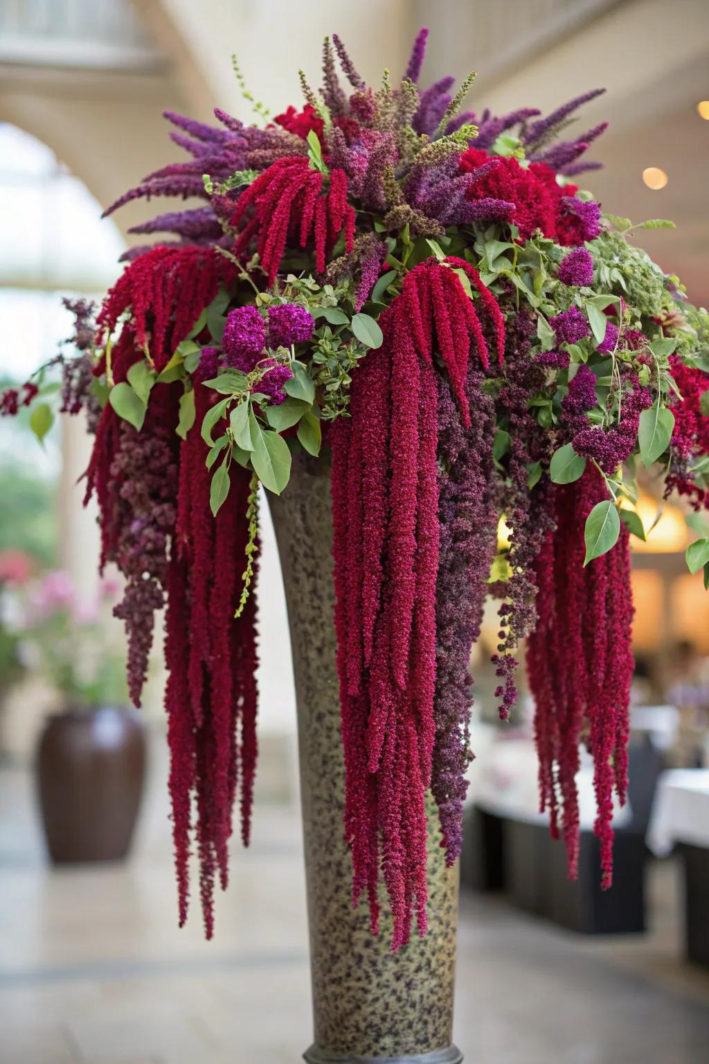 Amaranthus offers graceful drapes in floral arrangements.