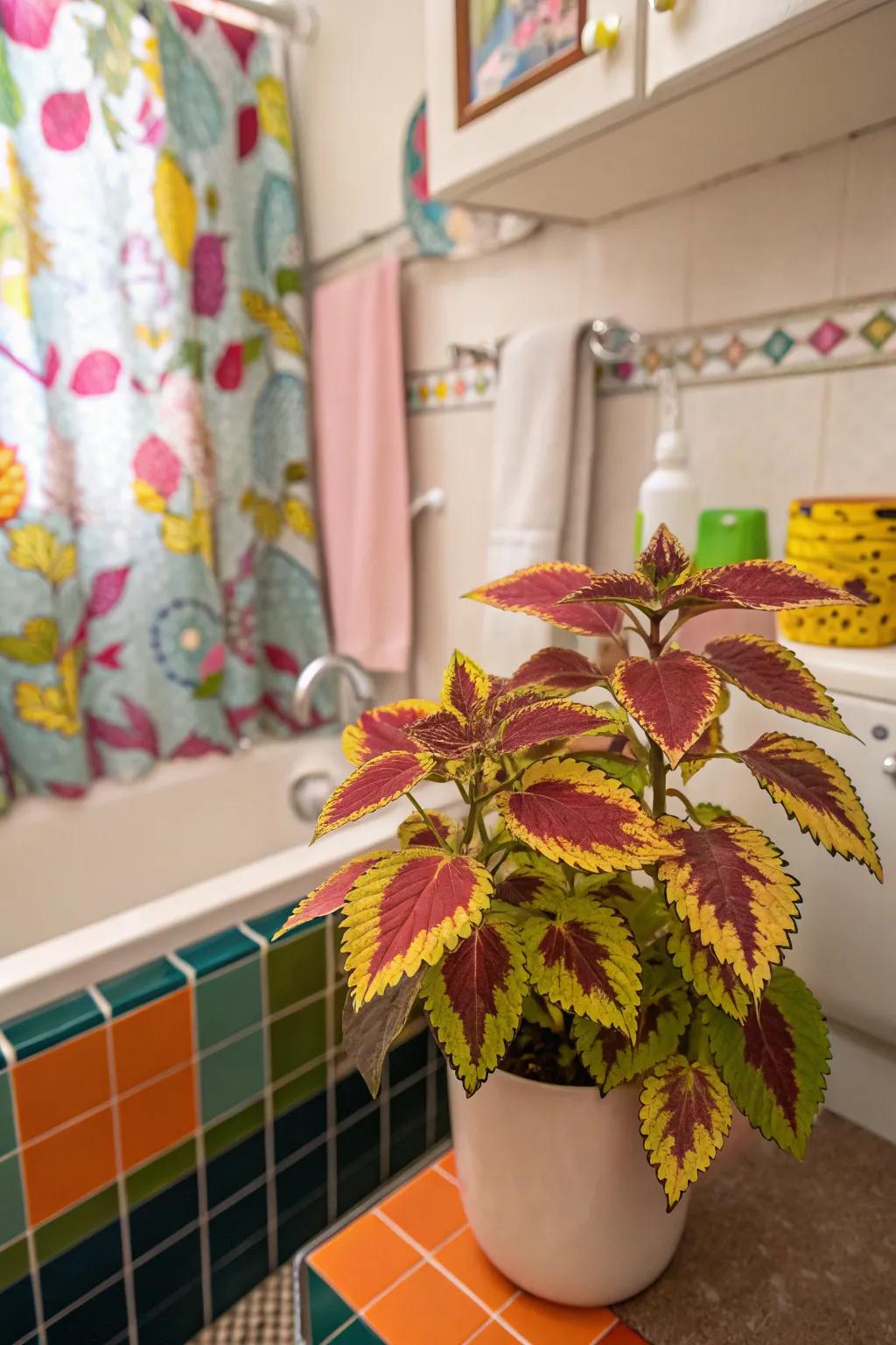 Painted Nettle brings vibrant color to any bathroom.