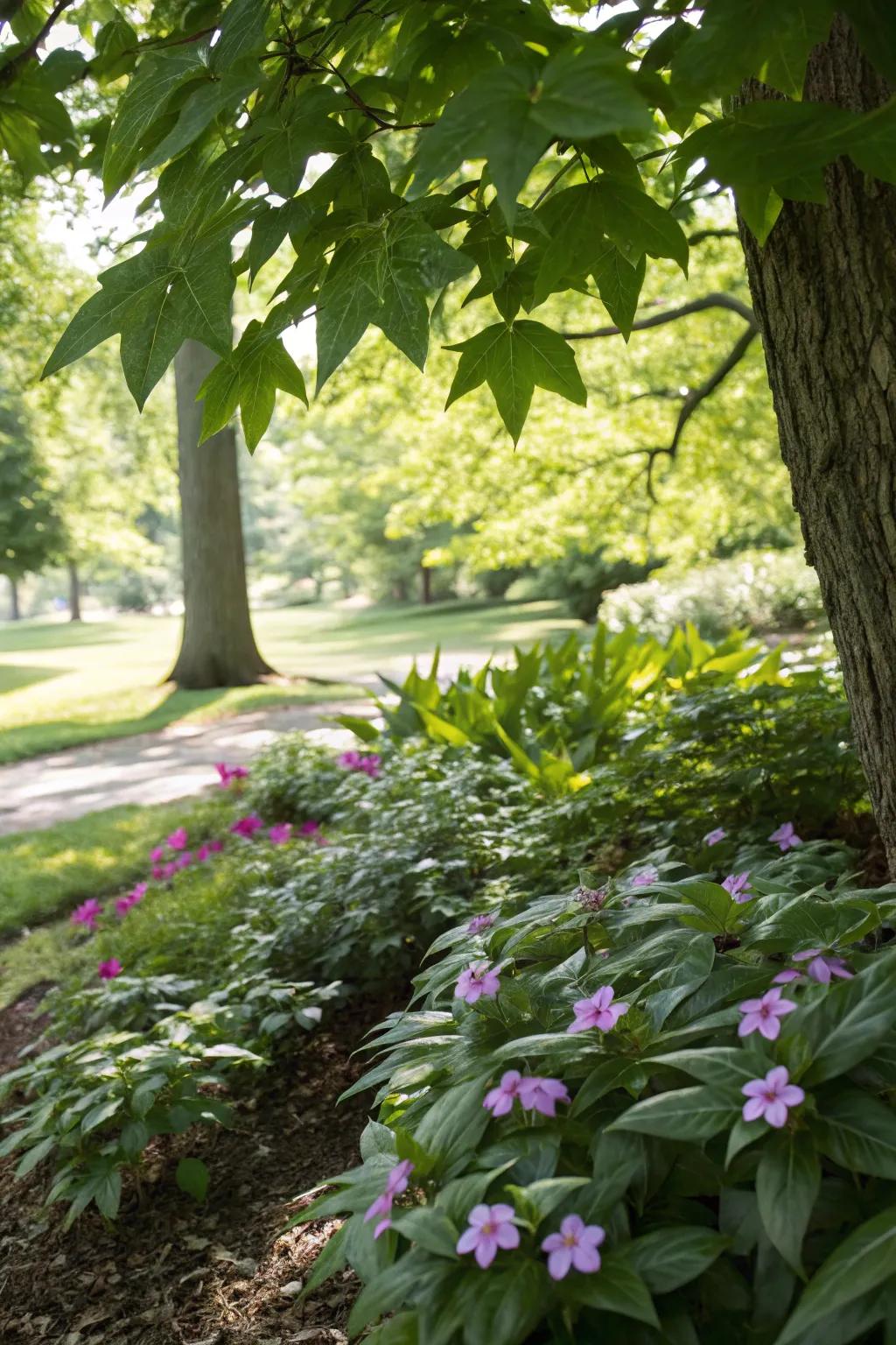 Vinca provides evergreen appeal in shaded areas.