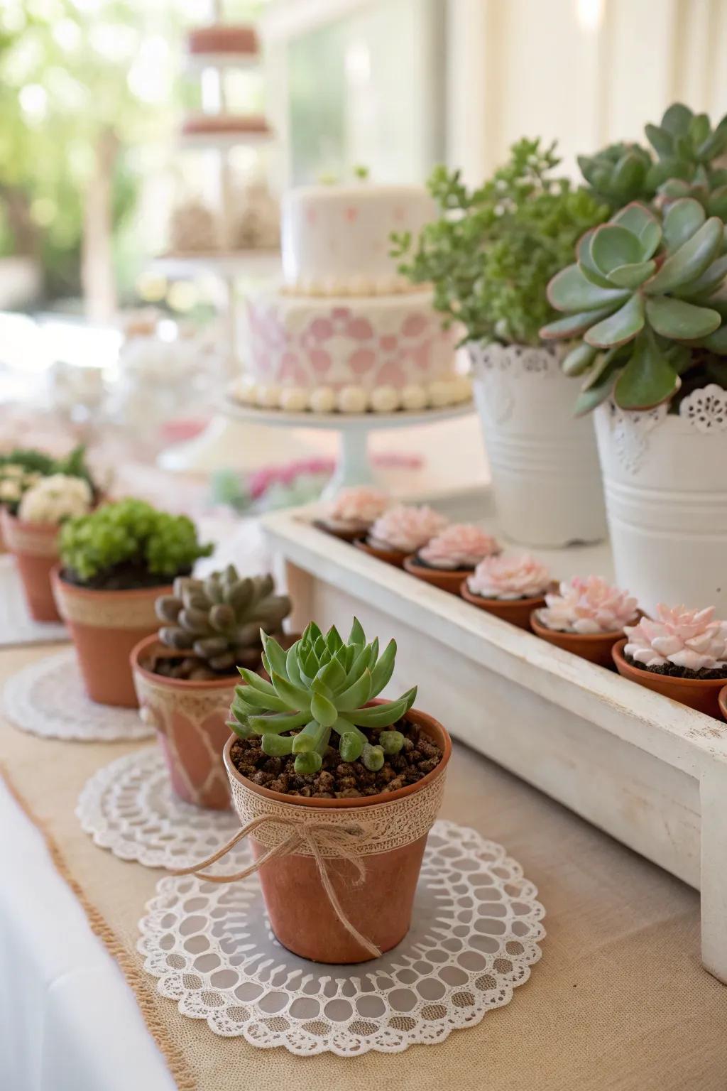 Succulent favors provide a charming and eco-friendly gift for guests.