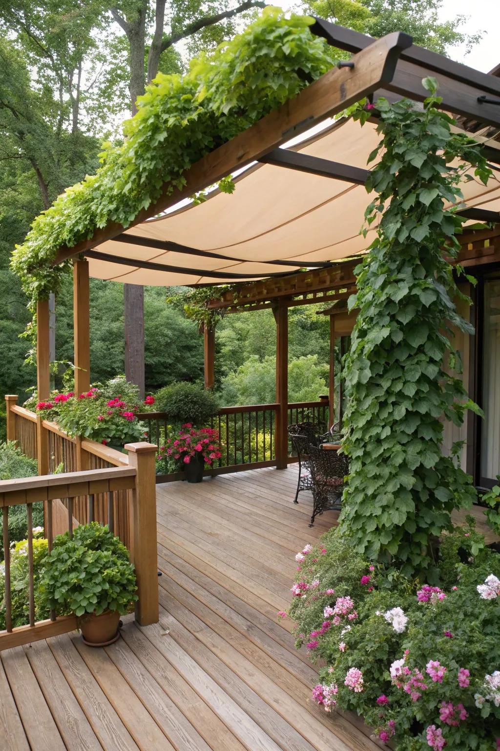 Enhance your deck with a stylish pergola.