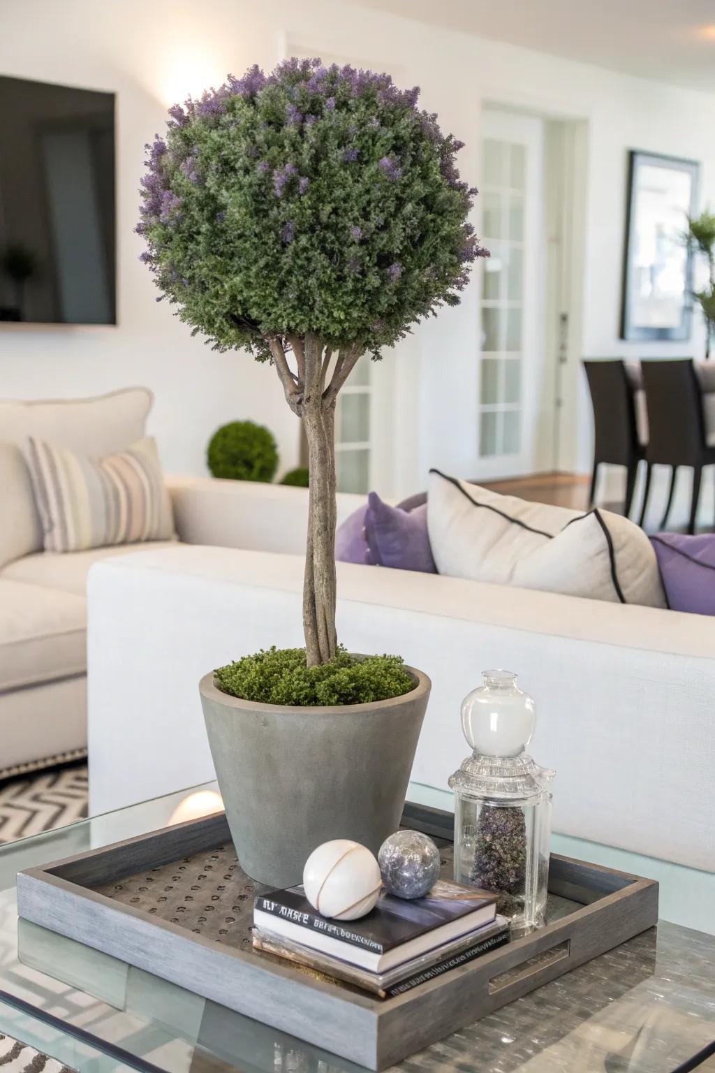 A lavender topiary adding elegance and a soothing scent to a contemporary living room.