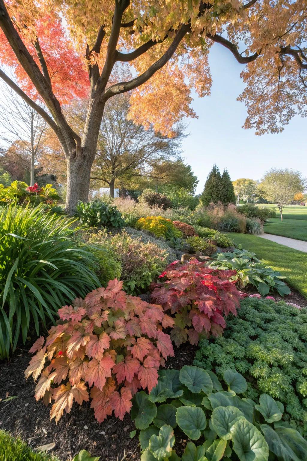 Coral Bells add a pop of color beneath the canopy.