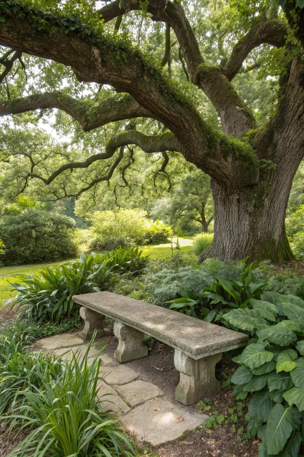 A stone bench provides a peaceful spot for reflection in the memorial garden.