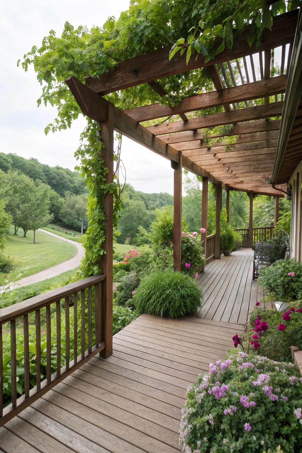 A pergola adorned with climbing plants offers shade and privacy on this deck.