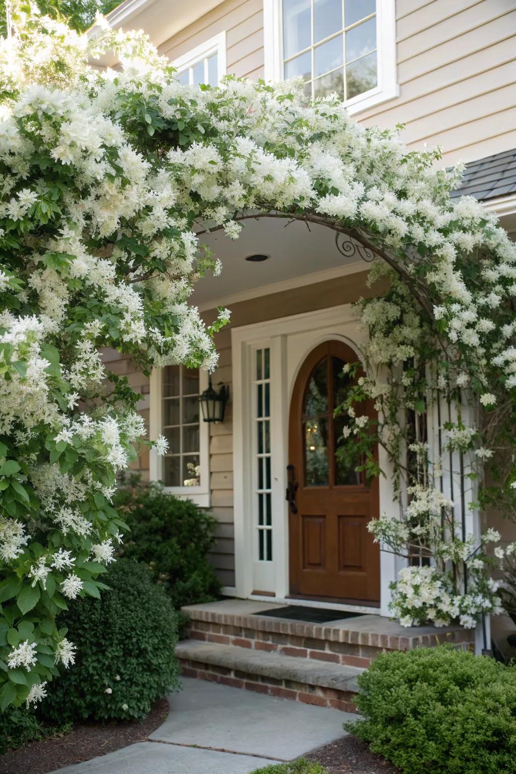 A welcoming entryway enhanced by the vibrant tones of loropetalum.