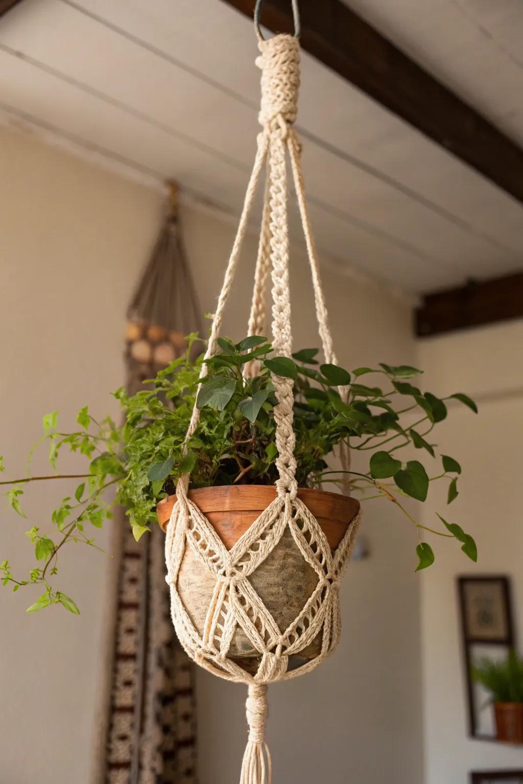 Elevate your green space with a homemade crochet plant hanger.