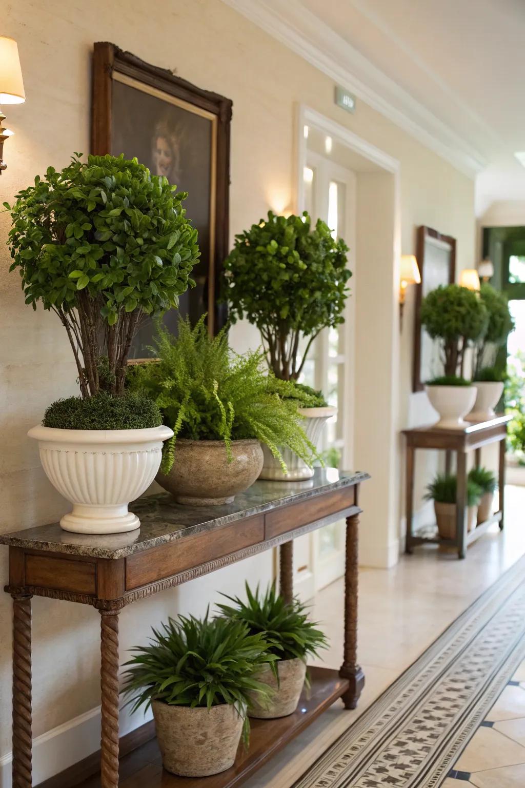 Greenery adds life and vibrancy to any entryway.