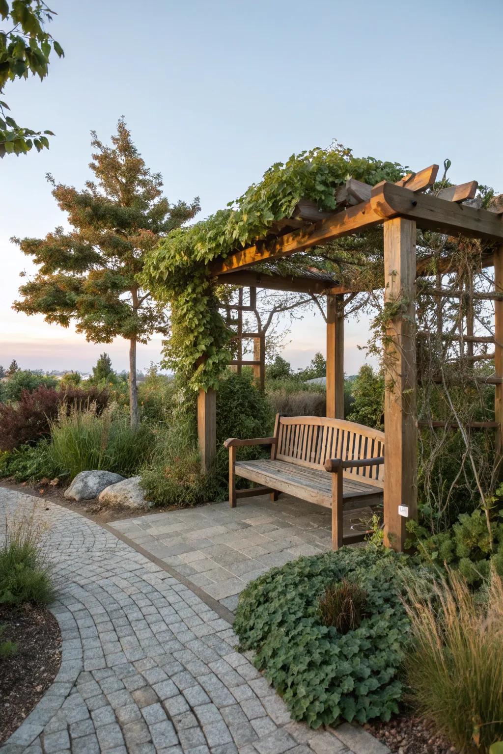 Wooden bench and pergola in a peaceful zen garden.