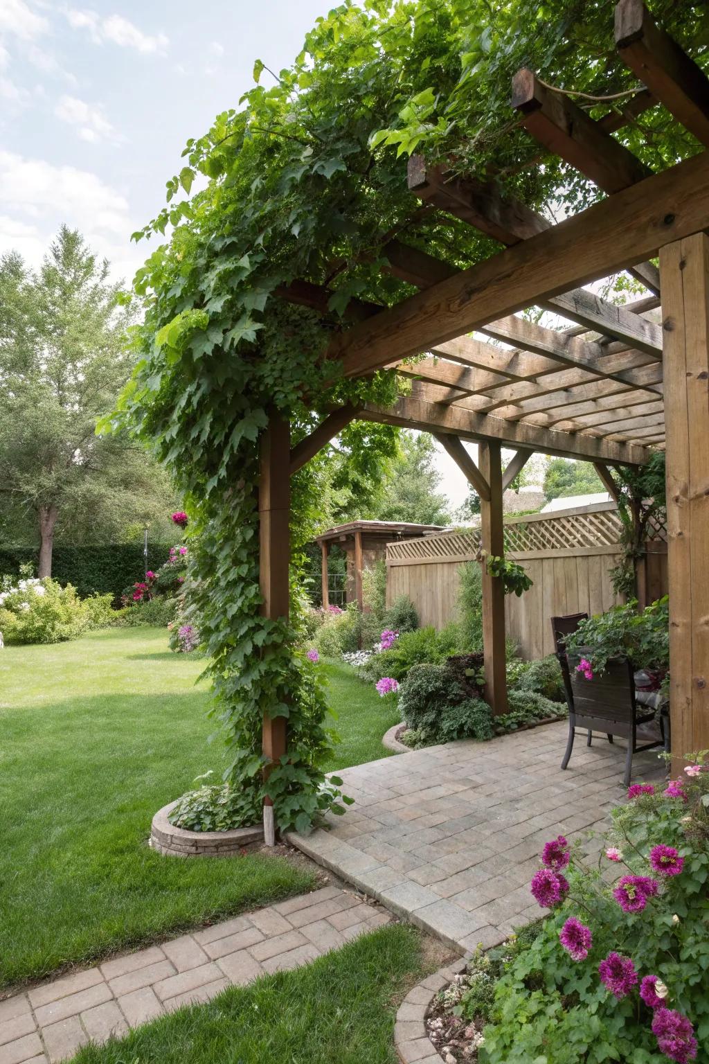 A pergola adds structure and charm to a small space.