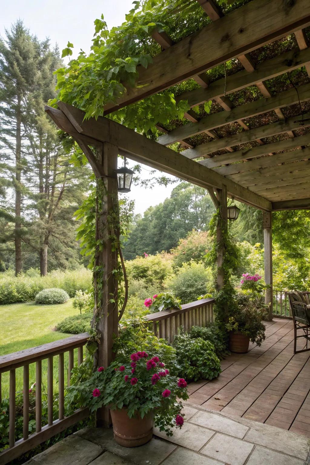 Pergola-inspired roofs blend sun, shade, and nature.