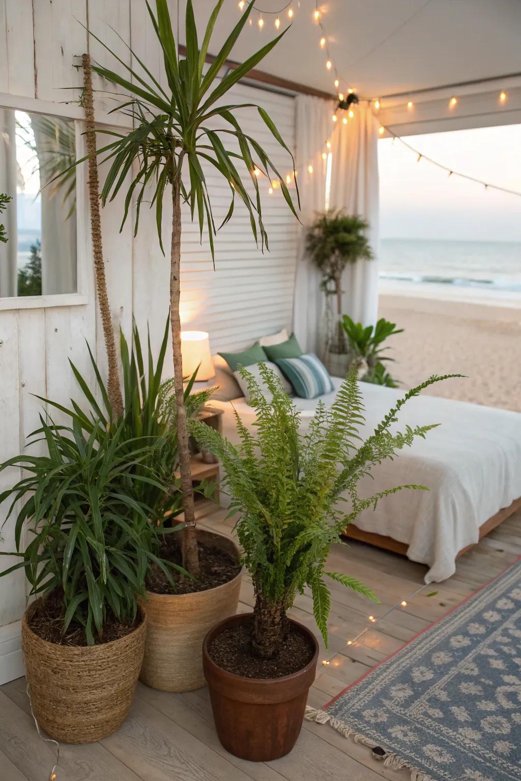 Greenery breathes life into your beach-themed room.