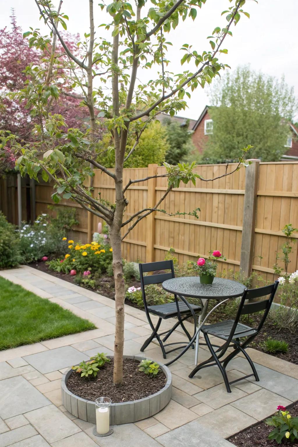 Trees provide natural shade and a focal point for your patio.