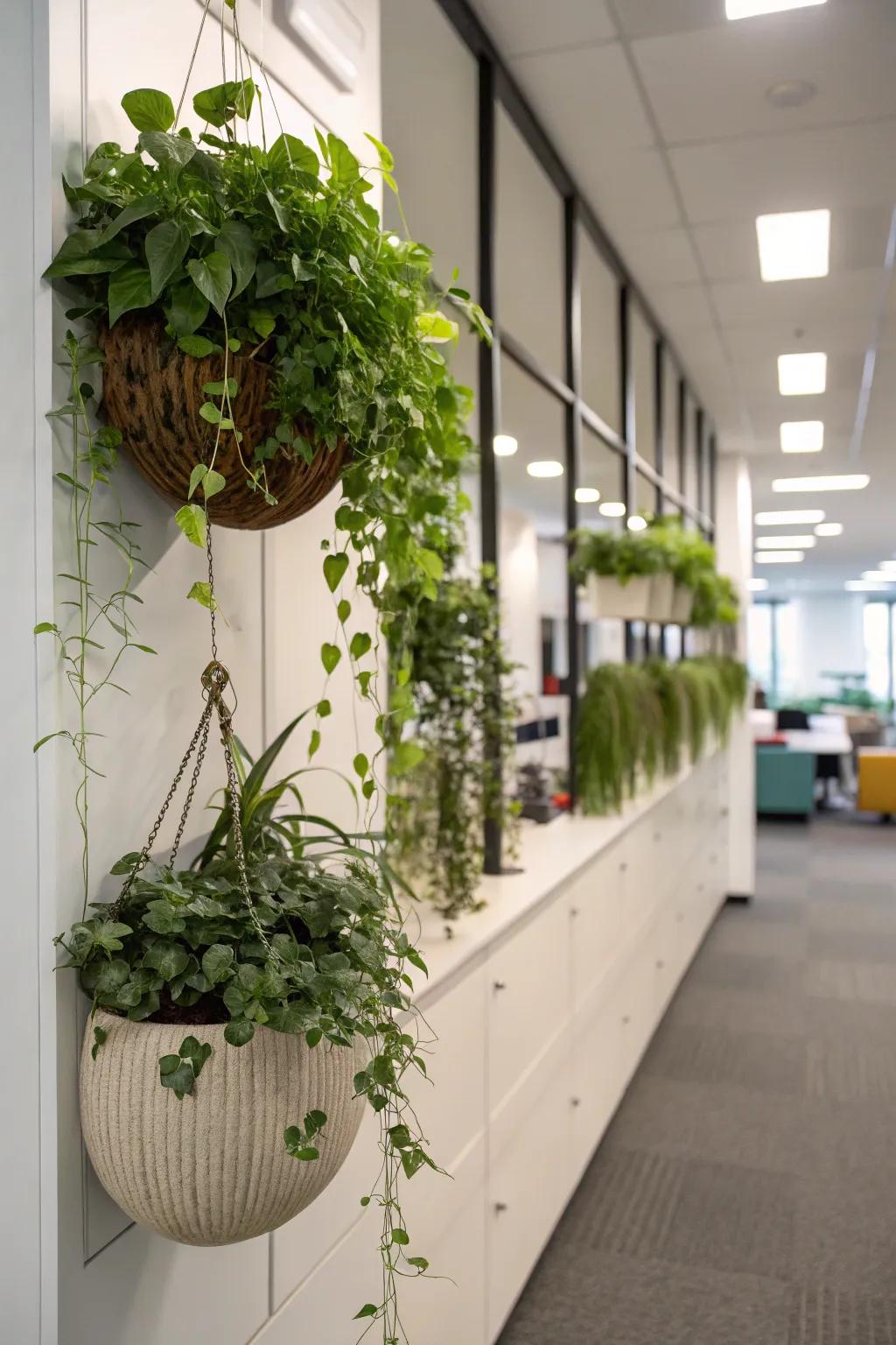 A living wall of plants that adds vibrancy and freshness to the office.