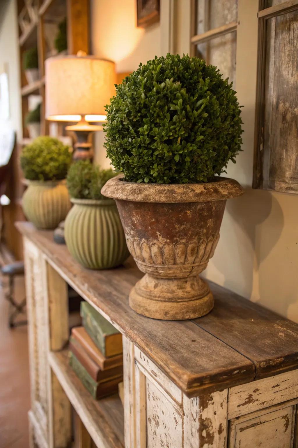 A vintage-inspired aged pot topiary providing timeless charm to a rustic shelf.