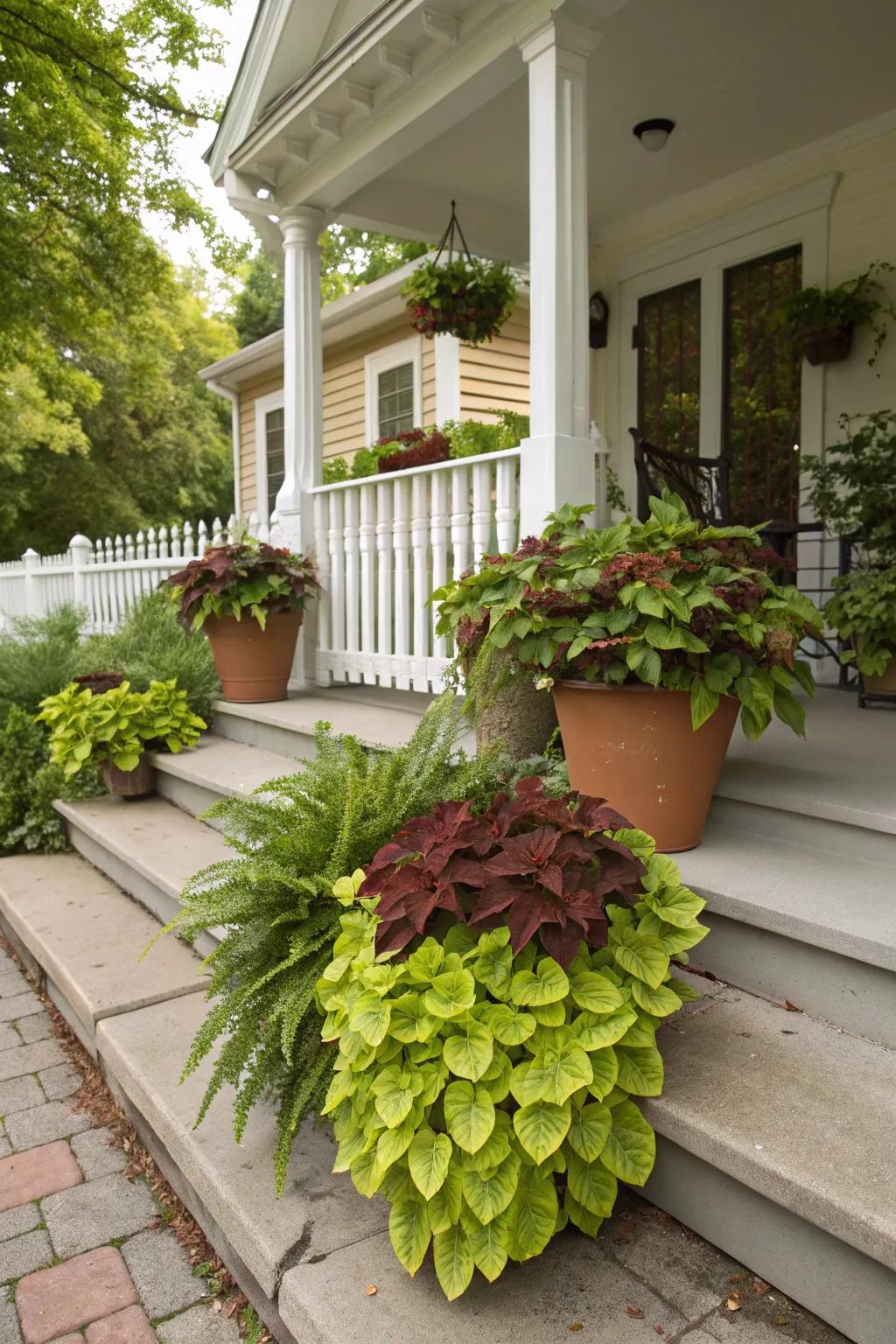 A lush green display with coleus and ornamental cabbage.