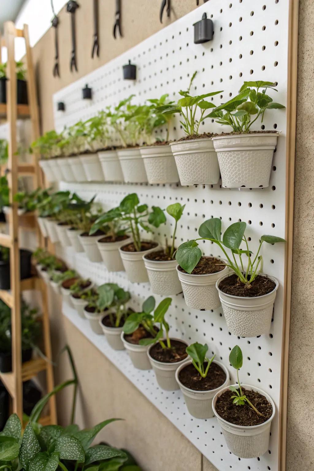 Pegboard allows for a customizable propagation wall.