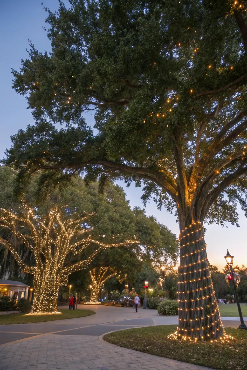 Tree trunks and branches wrapped with lights stand as sparkling holiday statement pieces.