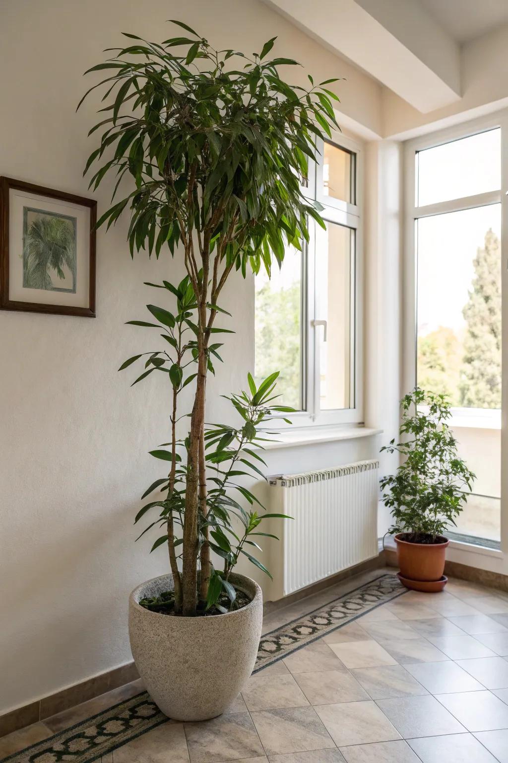 A tall plant in the corner adds freshness and a natural focal point.