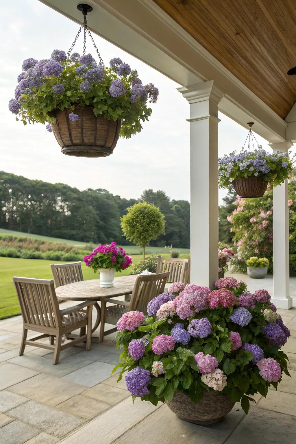 Create a lush outdoor retreat with hydrangeas.