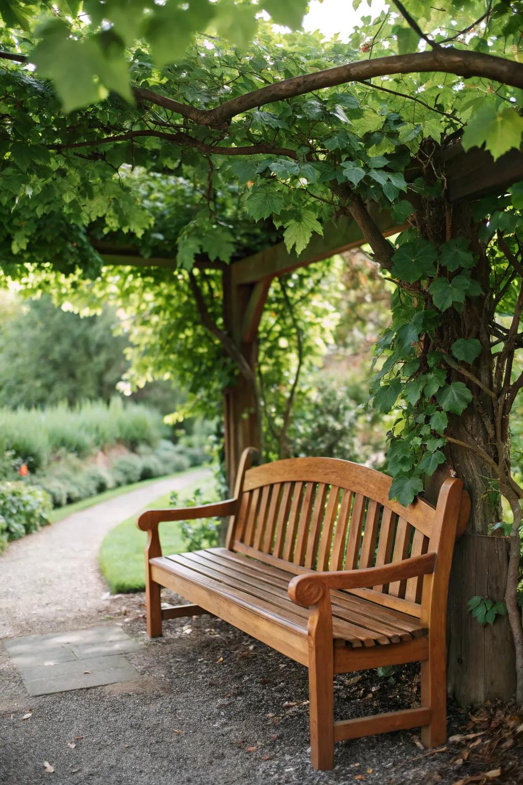 Embrace nature's tranquility with this handcrafted earthy brown bench, a perfect blend of simplicity and elegance in your garden oasis.