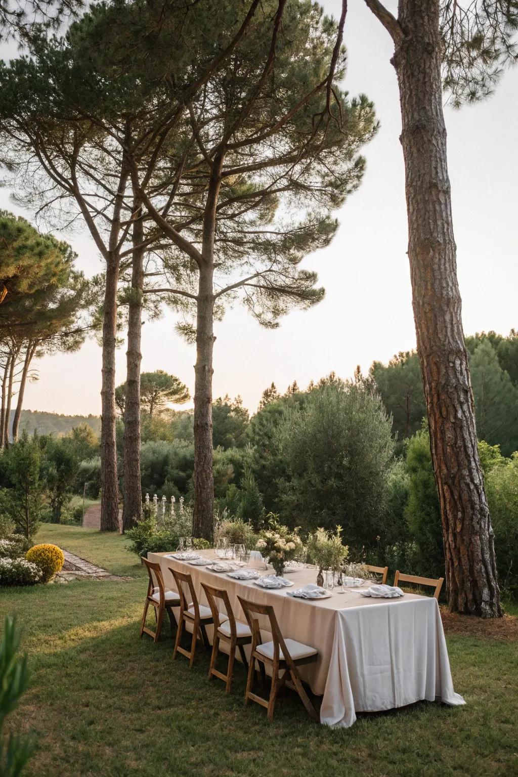 An inviting woodland dining area for alfresco meals.