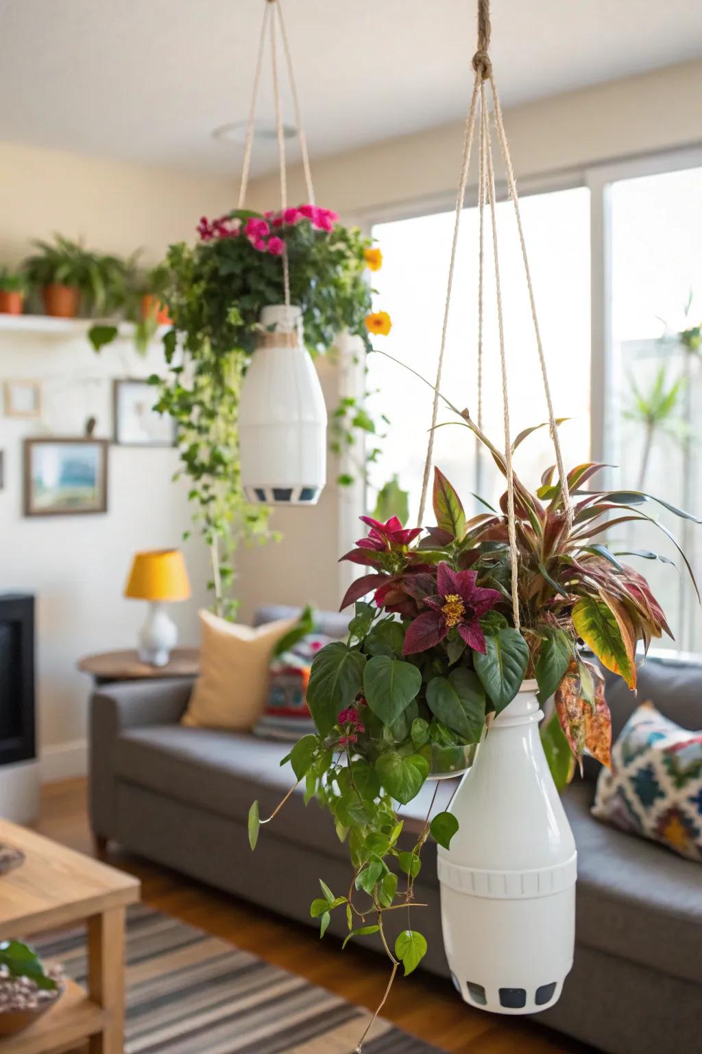 Elevate your home decor with chic hanging planters crafted from milk bottles.