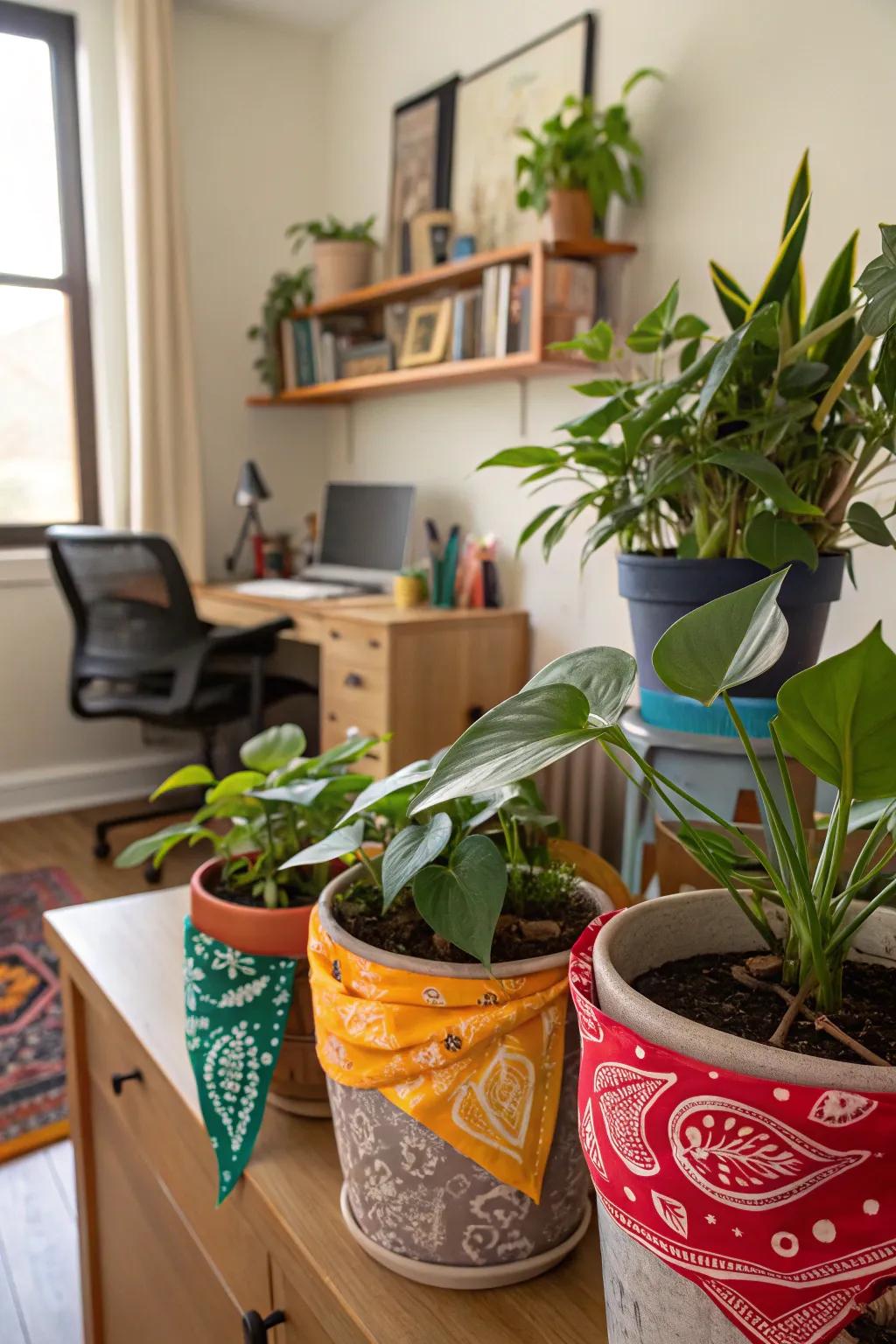 Bandana pot covers give indoor plants a lively and stylish look.