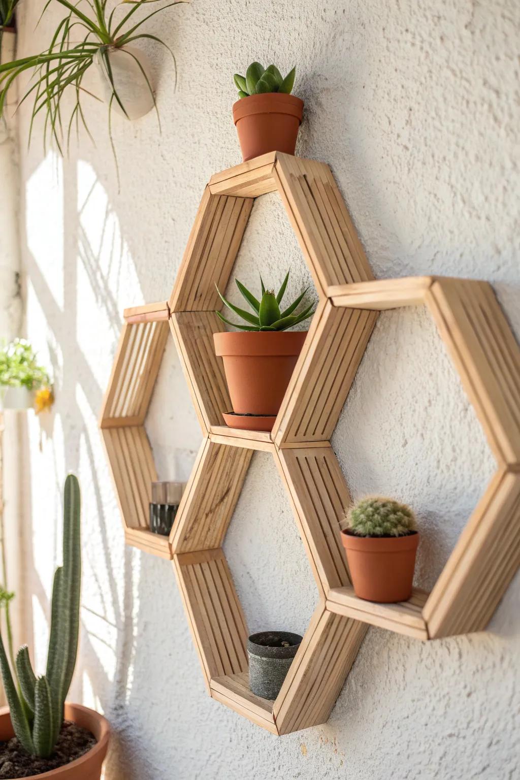 Elevate your wall decor with chic hexagon shelves—handcrafted simplicity meets bold style!