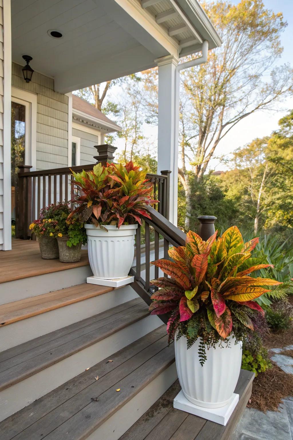 Coastal charm with crotons and whimsical pitcher plants.