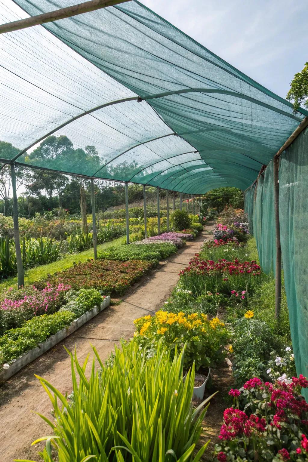 A greenhouse with shade cloth to manage sunlight exposure and reduce heat.