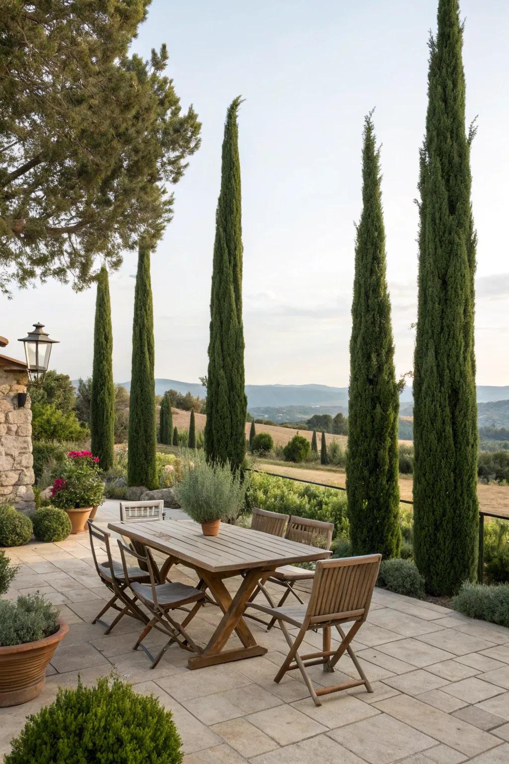 Create a cozy patio with Italian cypress accents.