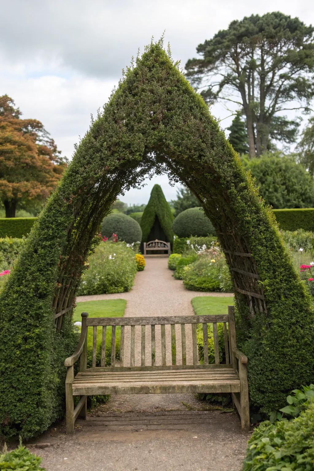 Pyramid-shaped topiary adding sophistication to a garden seating area.