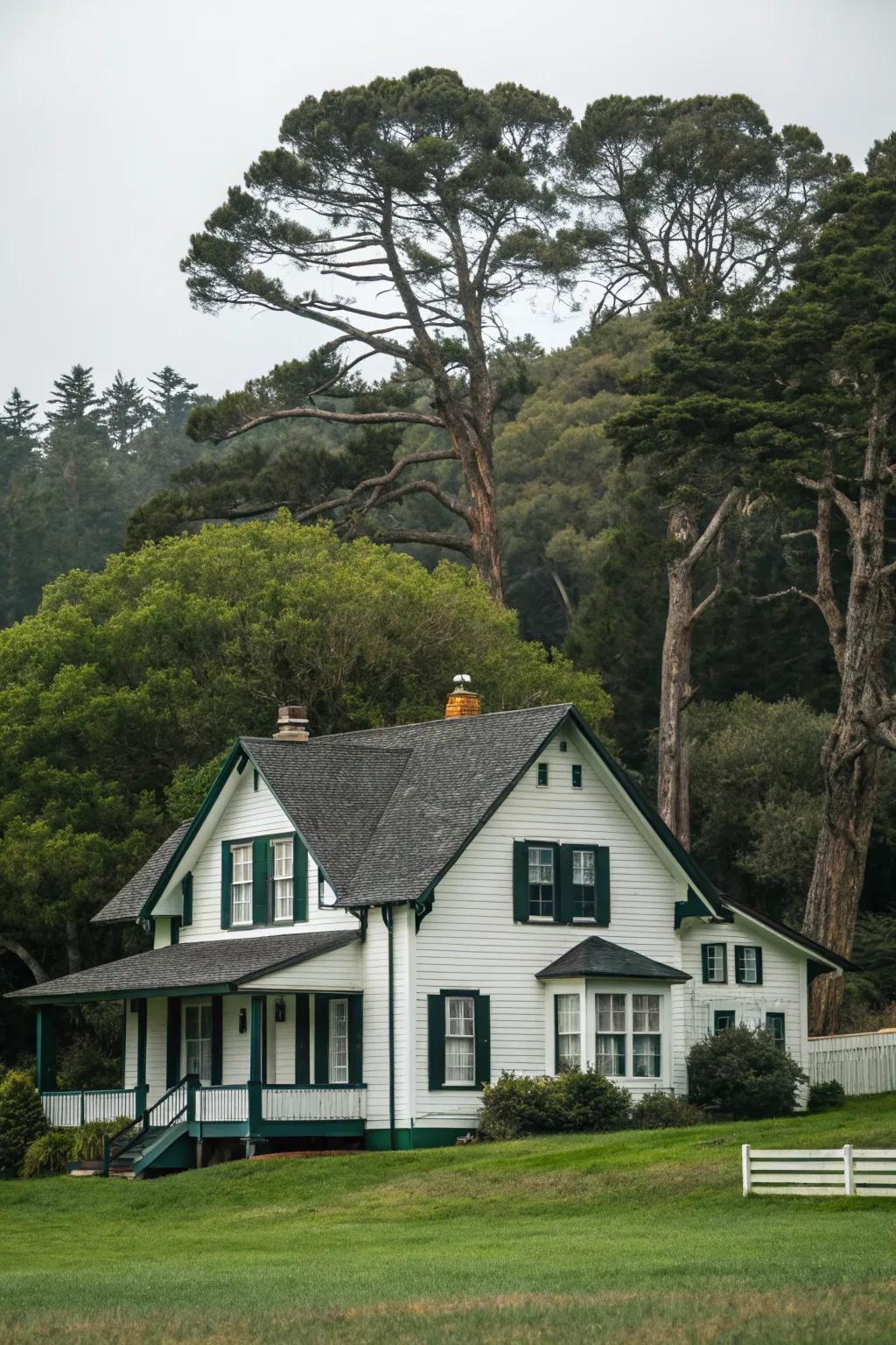 Dark green trim adds chic elegance to this white home, blending well with nature.