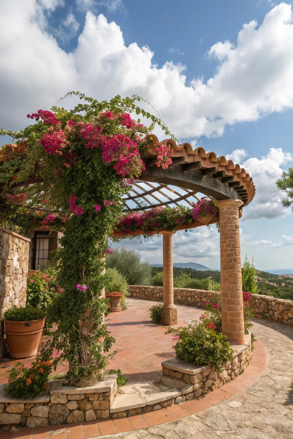 A Mediterranean-style pergola brings a touch of the coast to your garden.