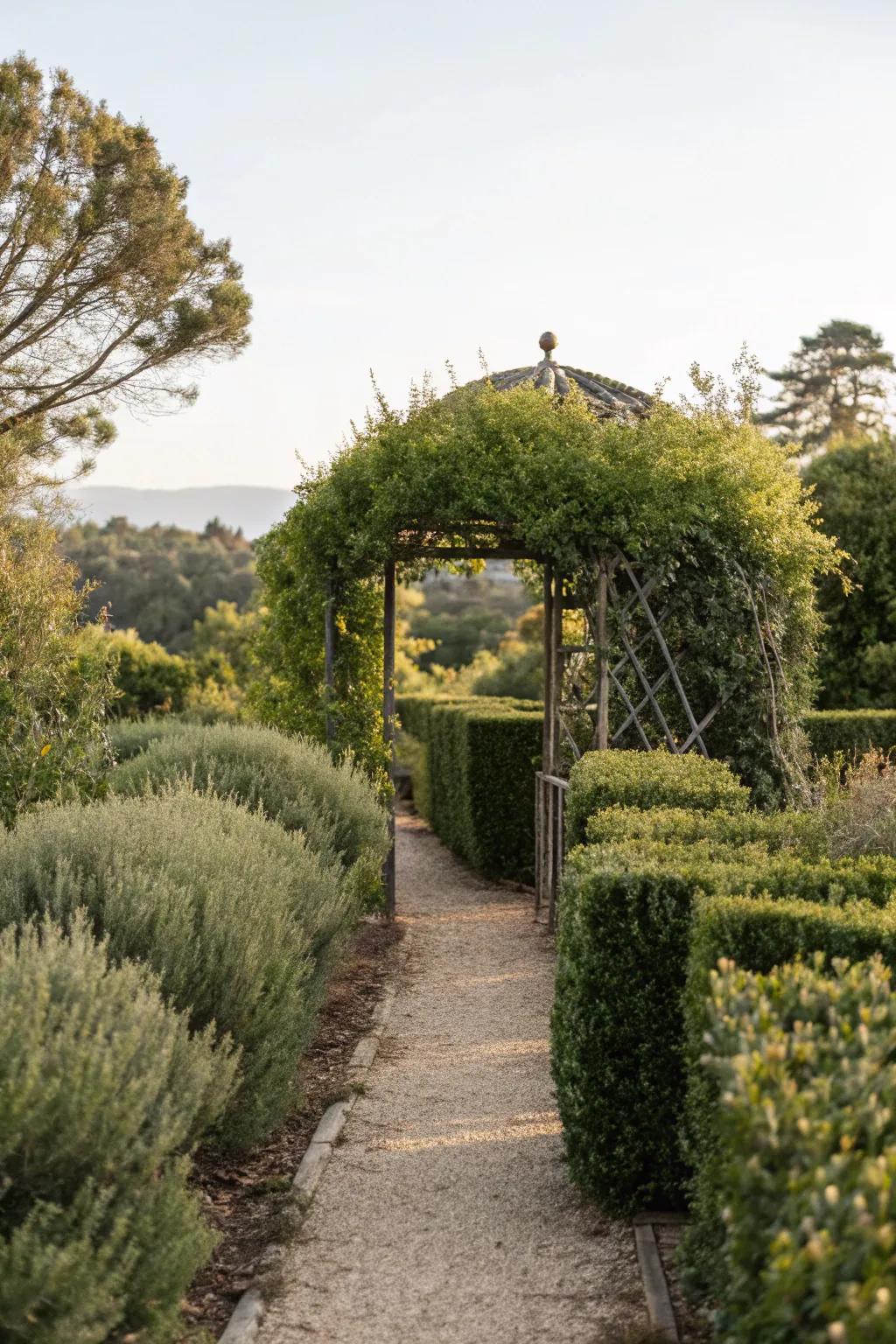 Shrubs add structure and privacy to your garden.