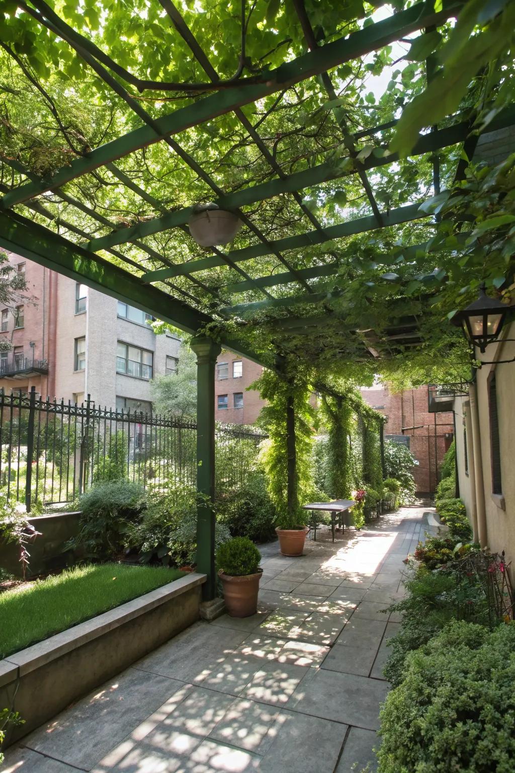 Create intimacy with a lush green ceiling.