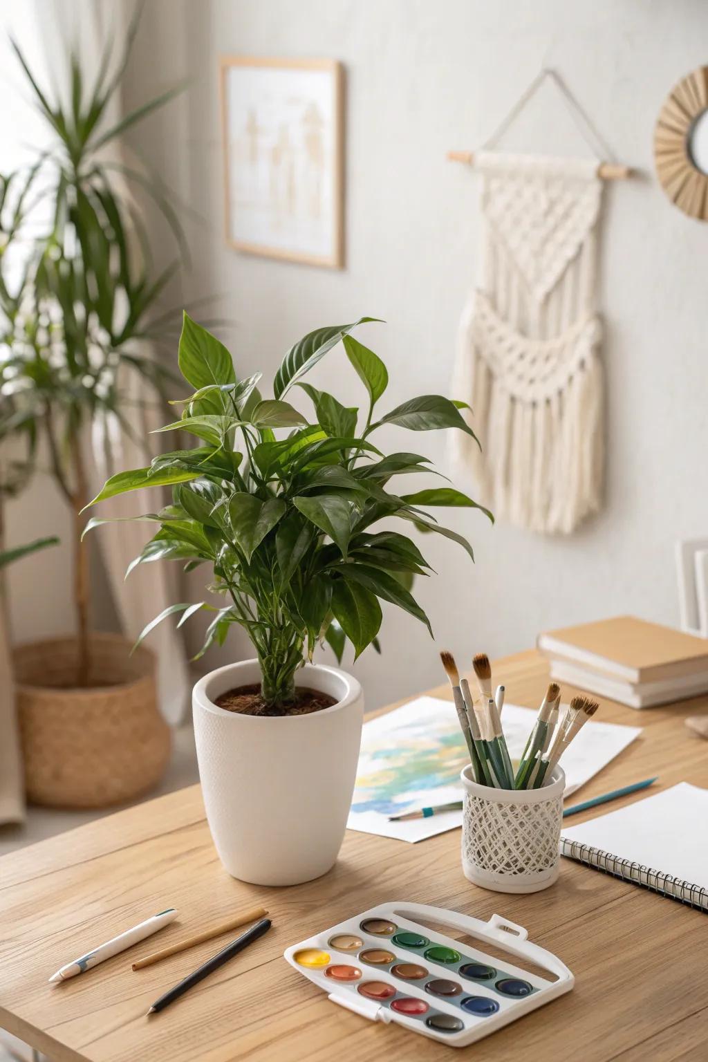 Bring your creative space to life with a touch of greenery. Let nature inspire your artistry.