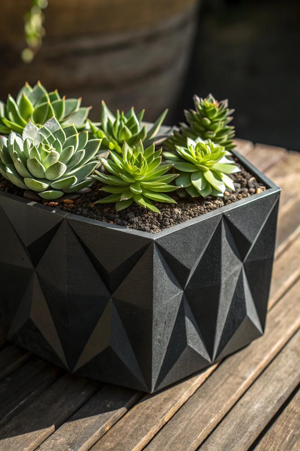 Elevate your space with bespoke craftsmanship: a bold statement planter for your favorite succulents.