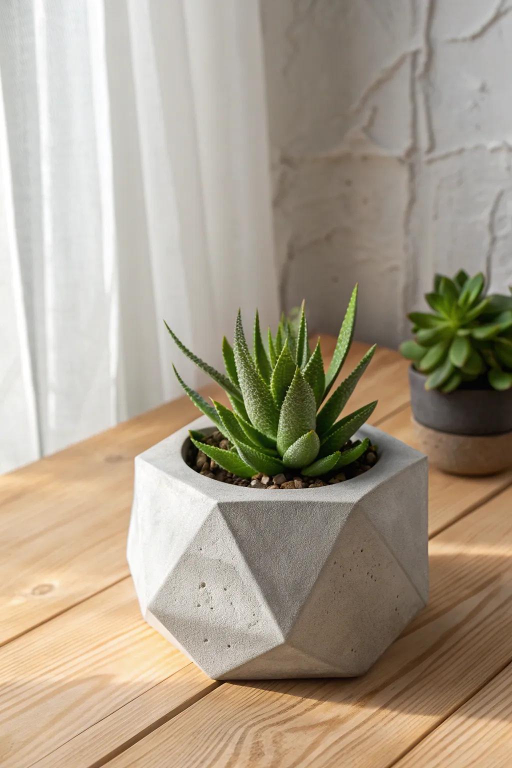 Elevate your green space with minimalist elegance—handcrafted concrete planters perfect for succulents.