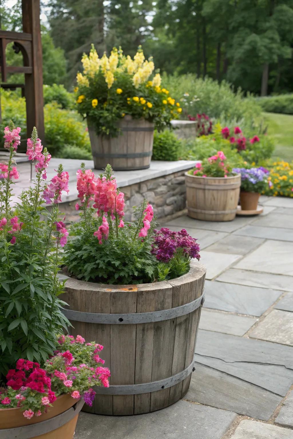 Rustic planters showcase snapdragons in a farmhouse-style setting.