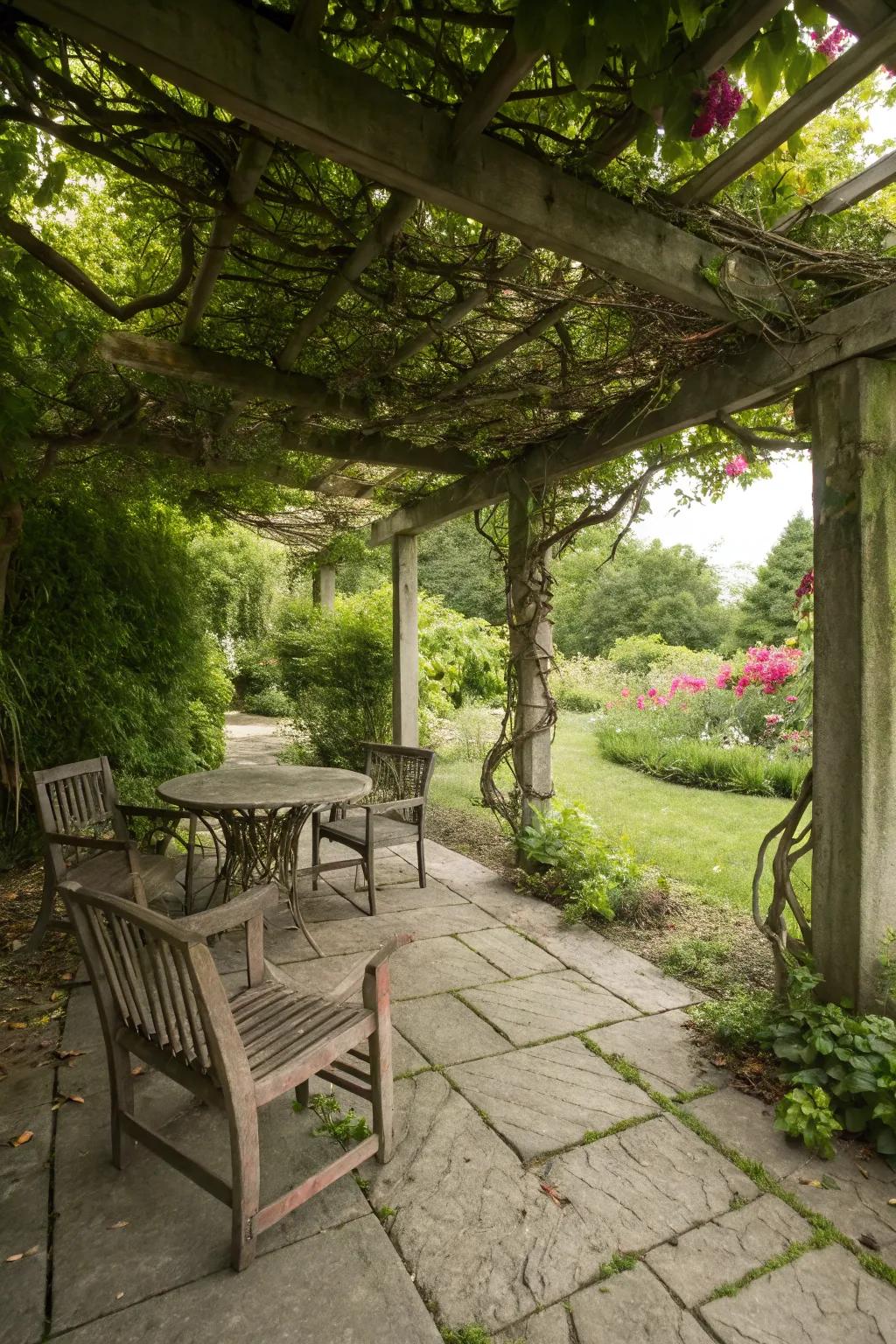 A vine-draped pergola adds vertical interest and provides a focal point in uneven patios.