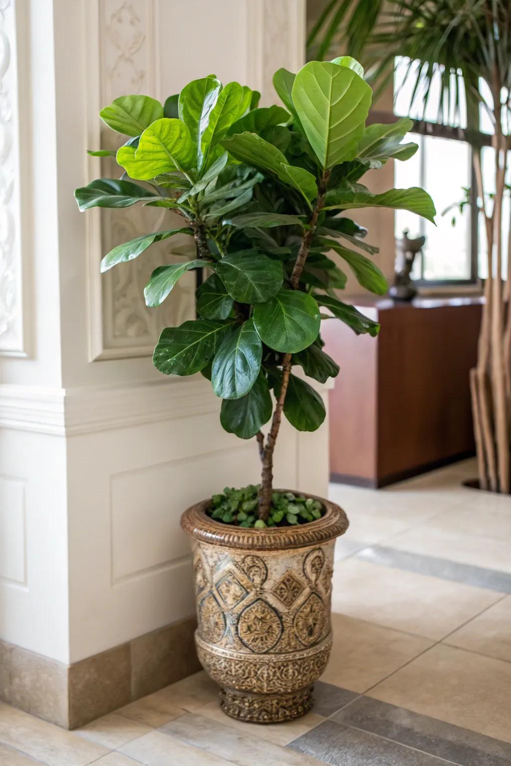 A tall plant adding greenery and elegance to a corner.