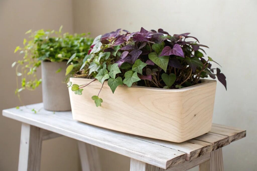 15 Creative Pot Decorating Ideas To Try At Home 15-creative-pot-decorating-ideas-to-try-at-home